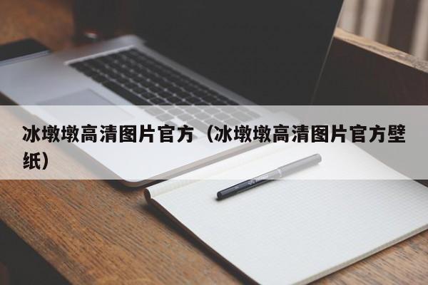 冰墩墩高清图片官方（冰墩墩高清图片官方壁纸）