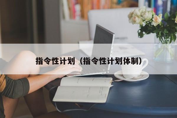 指令性计划（指令性计划体制）