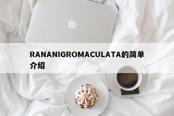 RANANIGROMACULATA的简单介绍