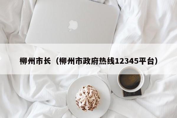 柳州市长（柳州市政府热线12345平台）