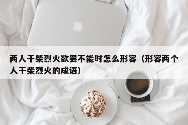 两人干柴烈火欲罢不能时怎么形容（形容两个人干柴烈火的成语）