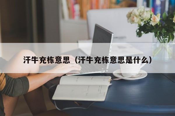 汗牛充栋意思（汗牛充栋意思是什么）