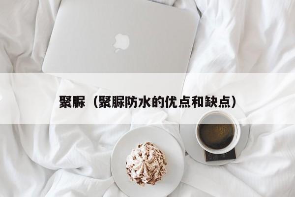 聚脲（聚脲防水的优点和缺点）