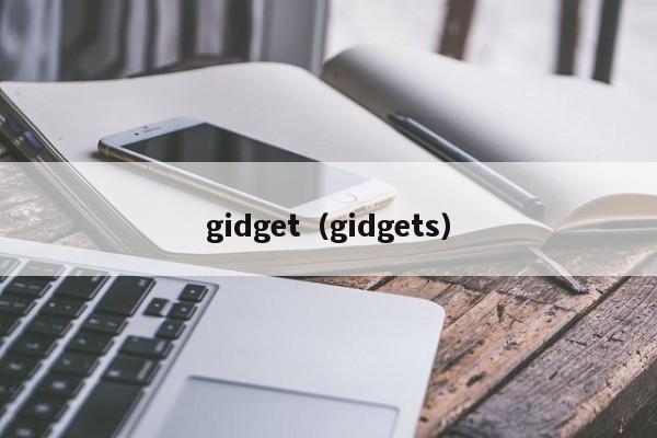 gidget（gidgets）