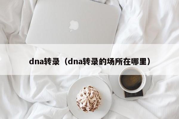 dna转录（dna转录的场所在哪里）