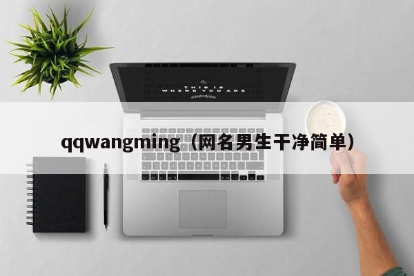 qqwangming（网名男生干净简单）