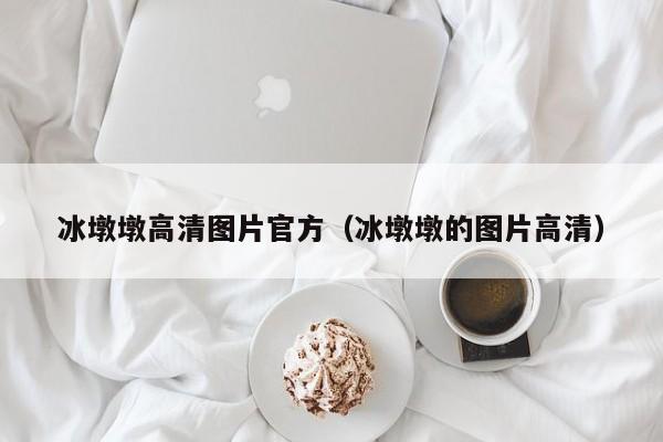 冰墩墩高清图片官方（冰墩墩的图片高清）