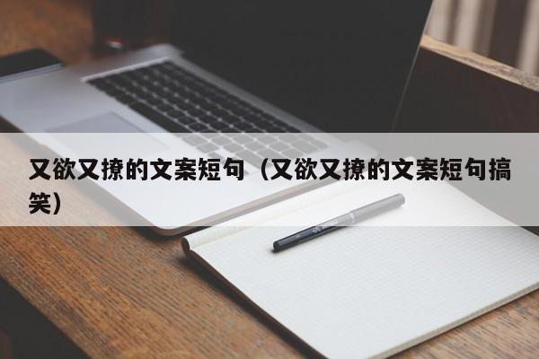 又欲又撩的文案短句（又欲又撩的文案短句搞笑）